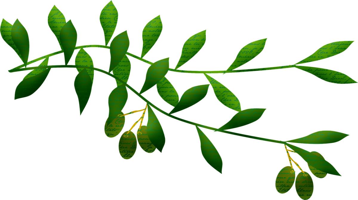 Poesia per la domenica delle Palme - 