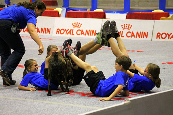 cani e bambini