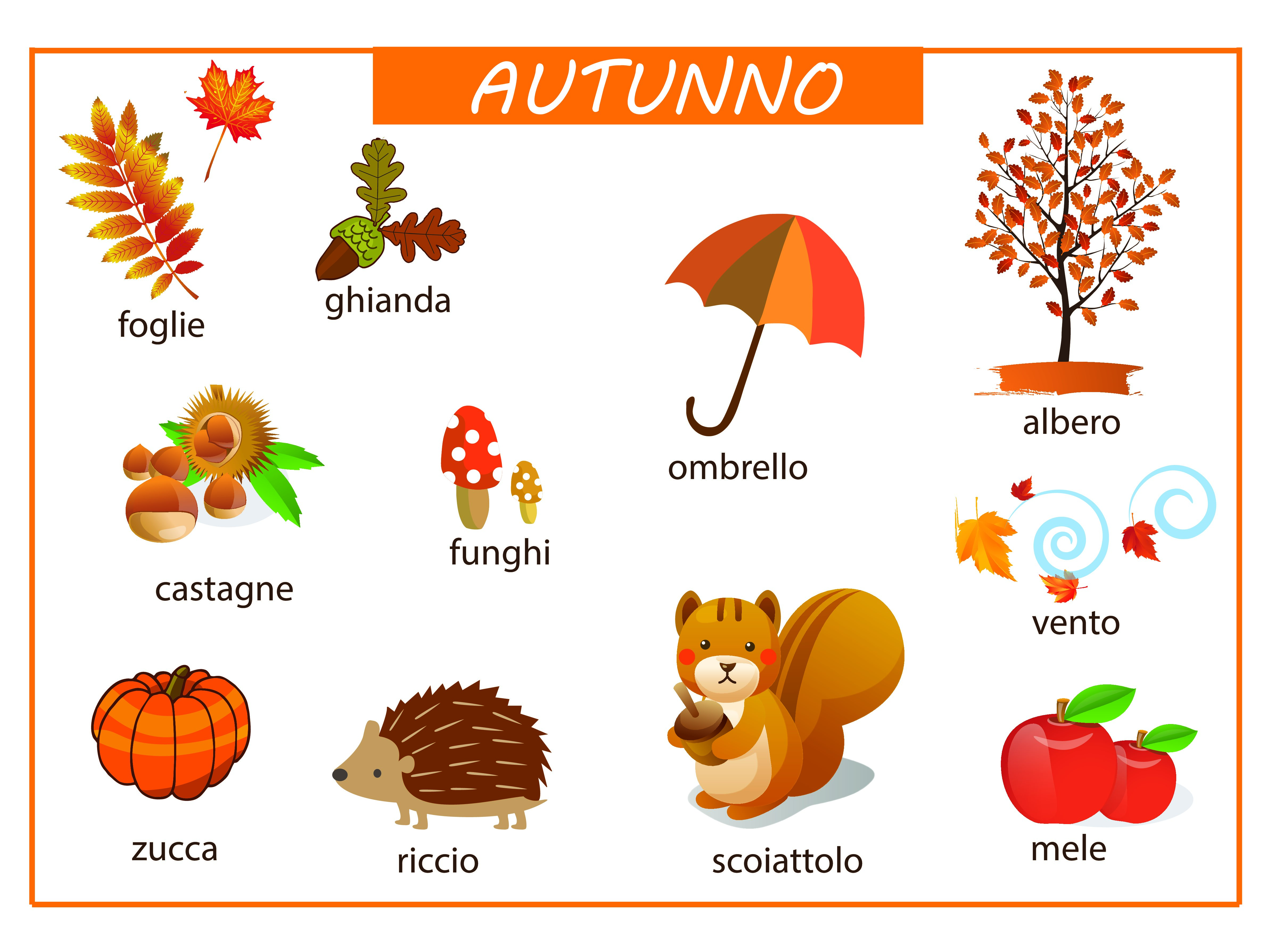 SCARICA IL PDF