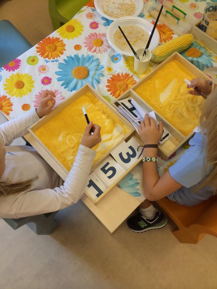 Conosciamo i cereali (attività didattica per i bambini della scuola dell'infanzia)