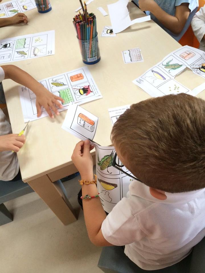 Conosciamo i cereali (attività didattica per i bambini della scuola dell'infanzia)