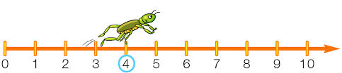 linea dei numeri