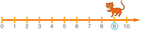 linea dei numeri.jpg 3