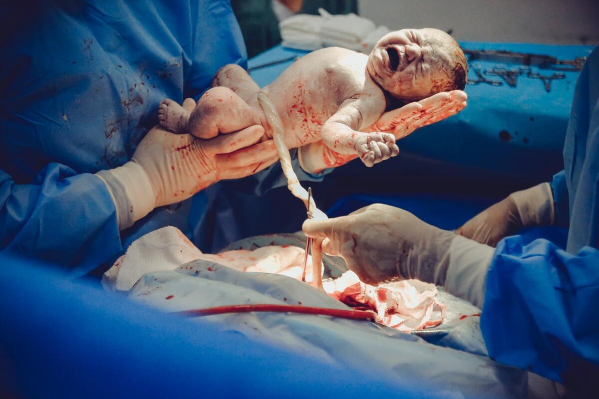 Perché conservare le cellule staminali del cordone ombelicale? - 