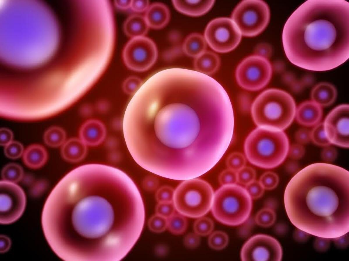 Cos’è il cordone ombelicale e cosa sono le staminali cordonali? - 