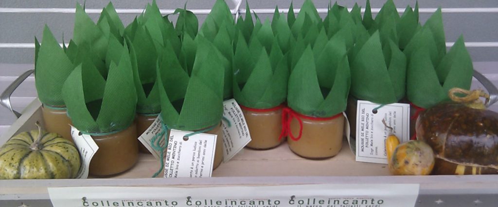 gita-scolastica-alunni-scuola-primaria-luogo-da-visitare-con-la-famiglia