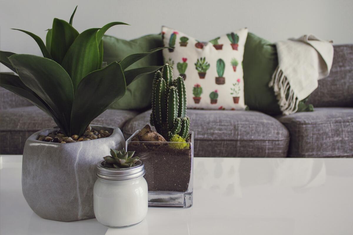 Design e arredamento - 