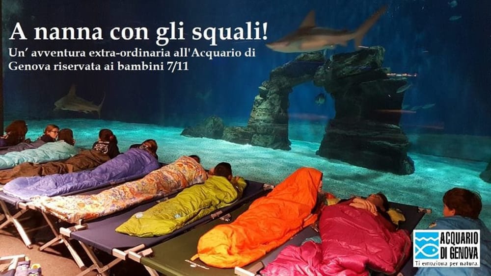 Notte con gli squali all'acquario di Genova: un'esperienza emozionante per bambini coraggiosi