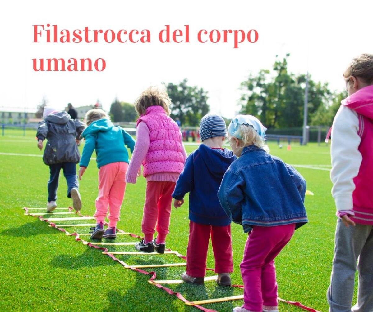 Filastrocca del corpo umano - 