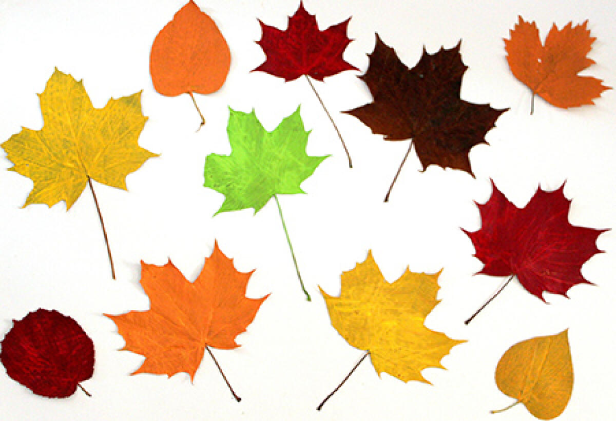 AUTUNNO - ogni lettera una parola e un disegno di Simona Chianura - 