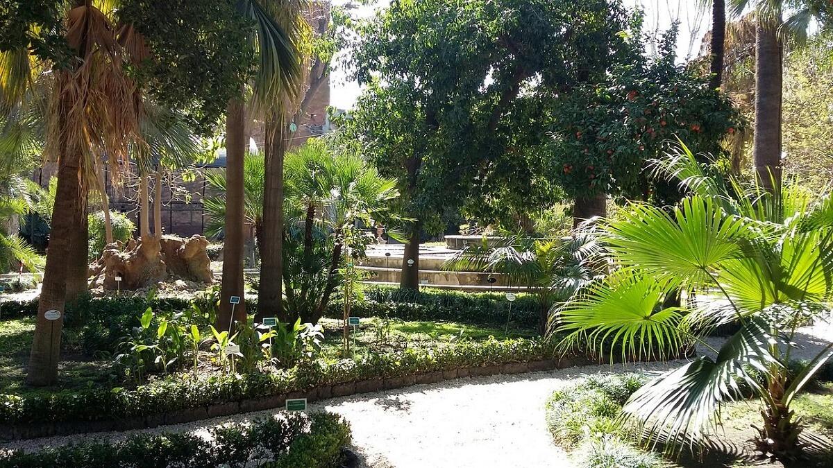 Catania riscopre il suo cuore verde con la Giornata Nazionale del Trekking Urbano - 