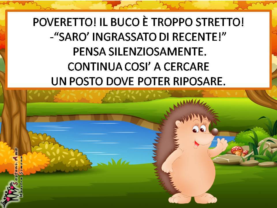 comprensione del testo: il bosco in autunno-"Ciccio il riccio" scritta da Simona Chianura - storia autunnale con domande di comprensione.