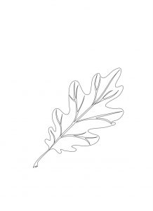 foglia Disegni autunno per bambini DISEGNI AUTUNNO SULL'AUTUNNO DA STAMPARE  A COLORI E IN BIANCO E NERO