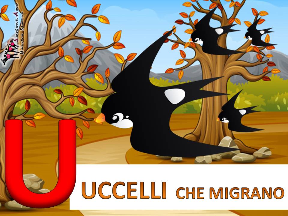 AUTUNNO - ogni lettera dell'alfabeto una parola e un disegno - lettera U