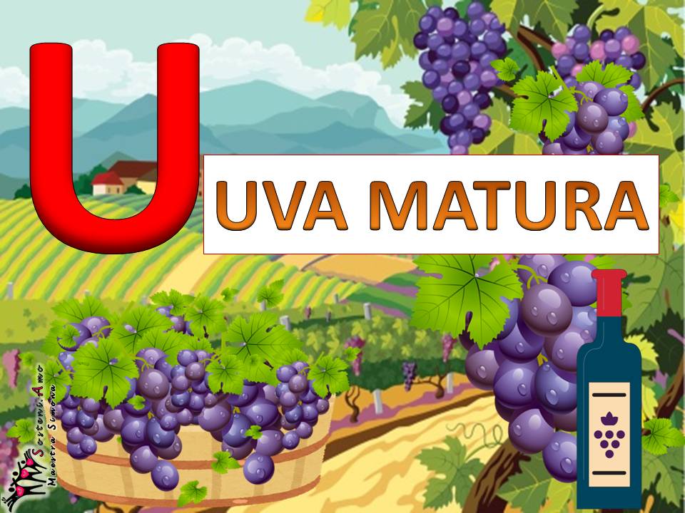 AUTUNNO - ogni lettera una parola e un disegno - lettera U