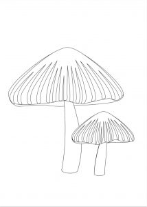 fungo in bianco e nero Disegni autunno per bambini DISEGNI SULL'AUTUNNO DA STAMPARE  A COLORI E IN BIANCO E NERO