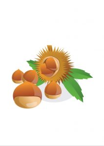 castagna castagne a colori Disegni autunno per bambini DISEGNI SULL'AUTUNNO DA STAMPARE  A COLORI E IN BIANCO E NERO