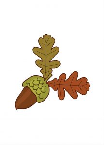 ghianda a colori Disegni autunno per bambini DISEGNI SULL'AUTUNNO DA STAMPARE  A COLORI E IN BIANCO E NERO
