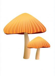 fungo a colori Disegni autunno per bambini DISEGNI SULL'AUTUNNO DA STAMPARE  A COLORI E IN BIANCO E NERO