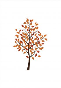 albero Disegni autunno per bambini DISEGNI SULL'AUTUNNO DA STAMPARE  A COLORI E IN BIANCO E NERO
