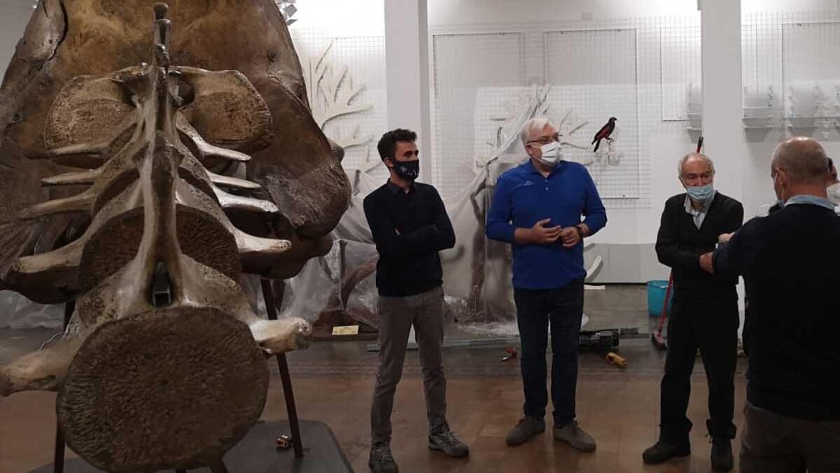 Il Museo di Zoologia di Catania si veste di nuovo: a breve verrà riconsegnato alla città - 