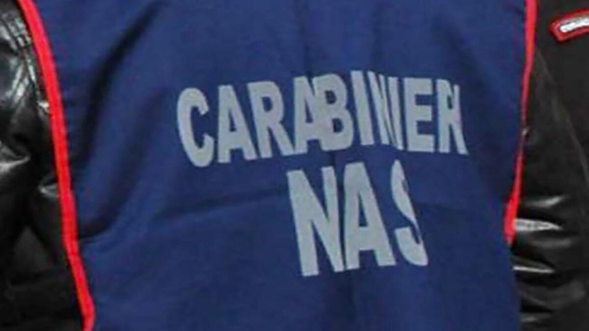 Paternò, sequestrato mattatoio abusivo - 