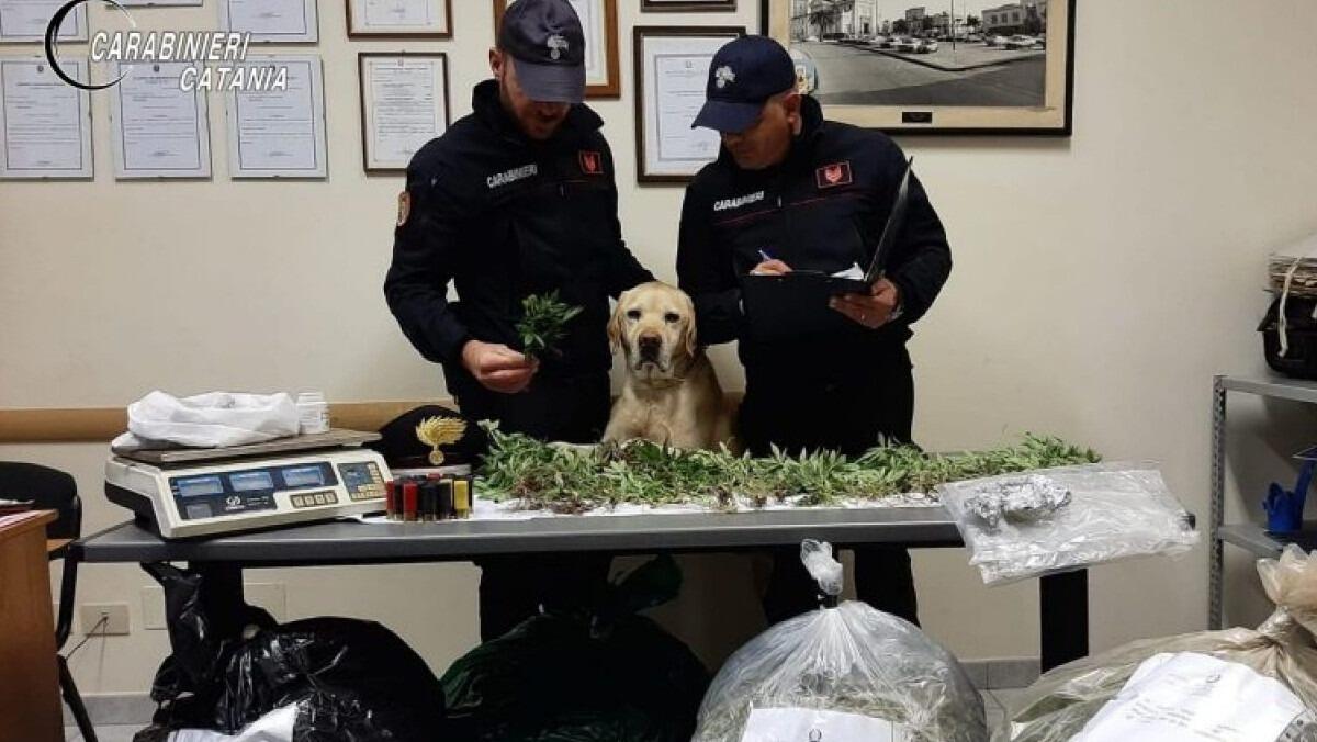 Mascali: arrestato per detenzione di marijuana - 