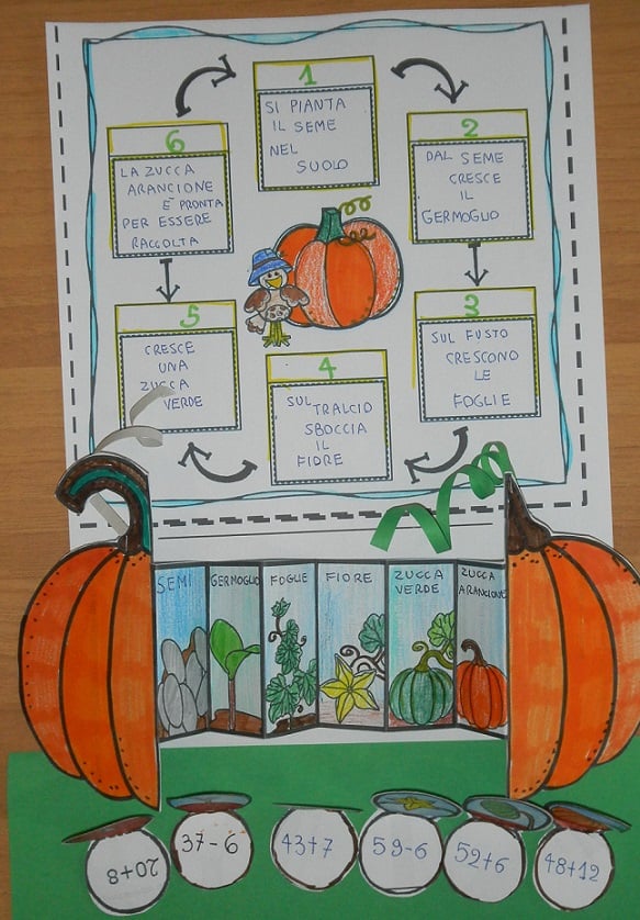 Ciclo vitale della zucca della maestra Pilly Pilly scienze matematica scuola primaria classe seconda