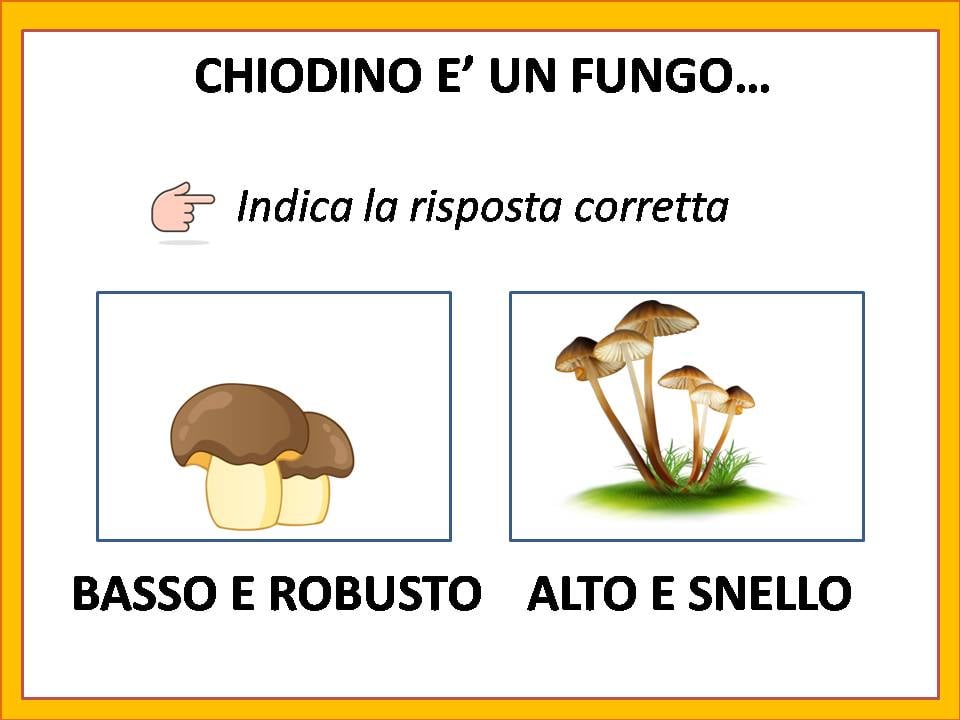 Comprensione del testo: il bosco in autunno con il fungo Chiodino