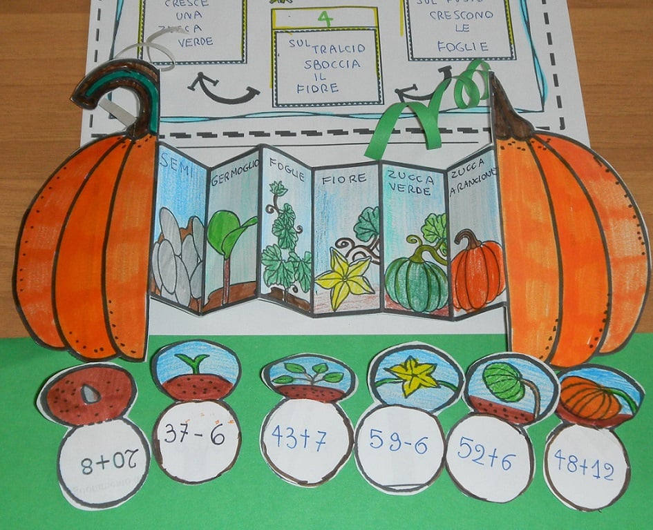 Ciclo vitale della zucca della maestra Pilly Pilly scienze matematica scuola primaria classe seconda