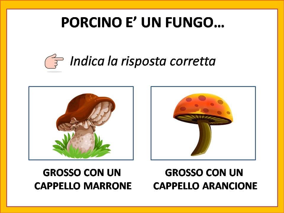 Comprensione del testo: il bosco in autunno con il fungo Chiodino