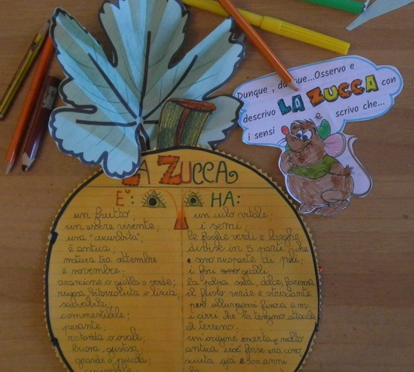 Ciclo vitale della zucca della maestra Pilly Pilly scienze matematica scuola primaria classe seconda