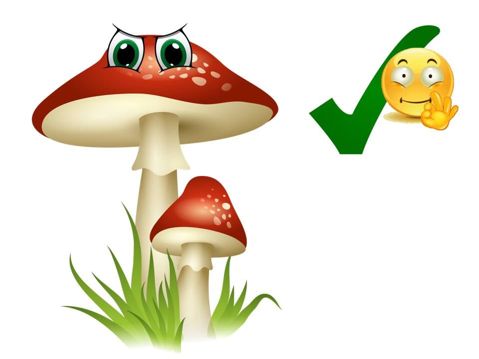 Comprensione del testo: il bosco in autunno con il fungo Chiodino