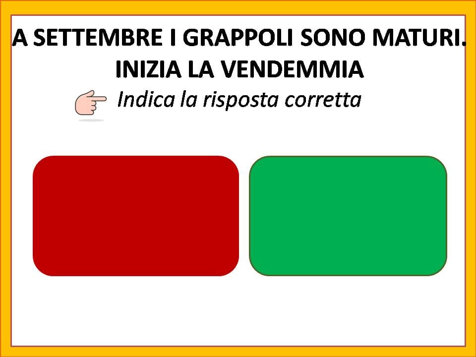 dino il contadino