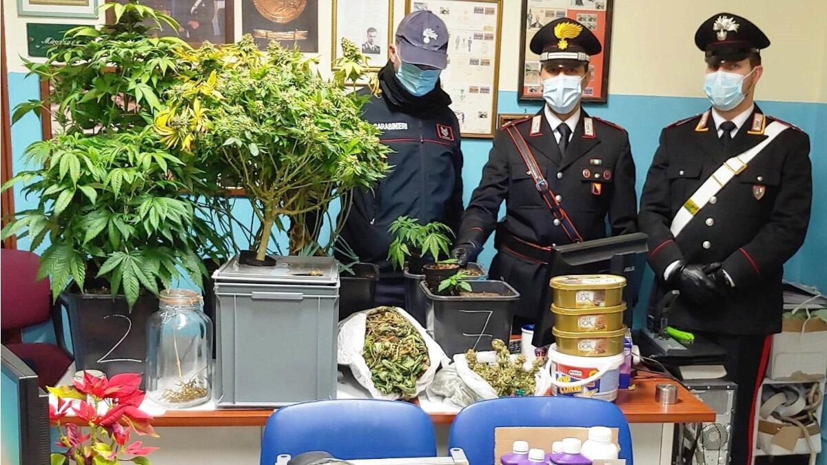 Belpasso: serra indoor in villetta per la coltivazione di canapa indiana, sequestrati 250 grammi di marijuana e 9 piante - 