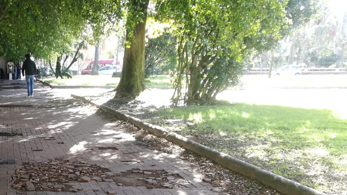 Riqualificazione Piazza Roma: queste le considerazioni del municipio Borgo-Sanzio - 