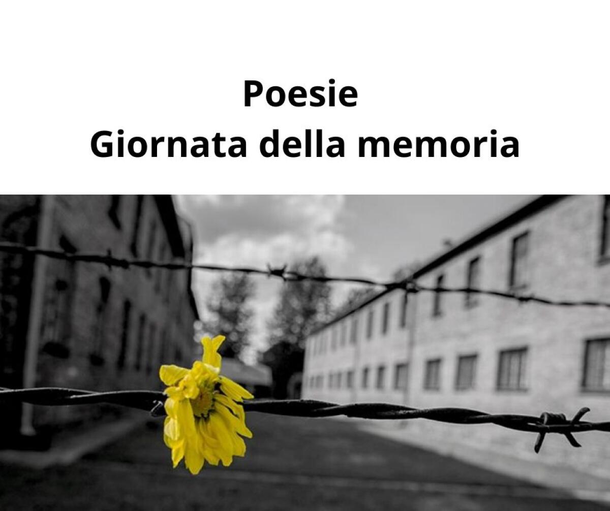 Giornata della memoria: poesie per bambini - 