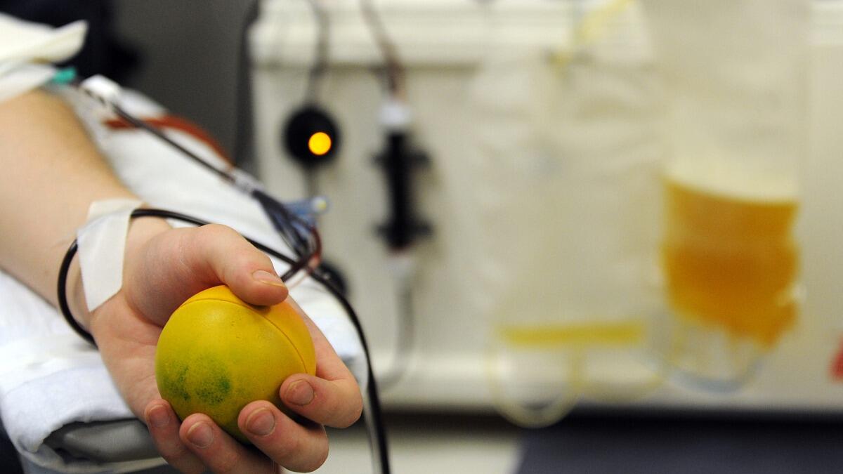 Covid-19, l'appello della Commissione Sanità di Caltagirone: "Serve plasma da soggetti vaccinati" - 