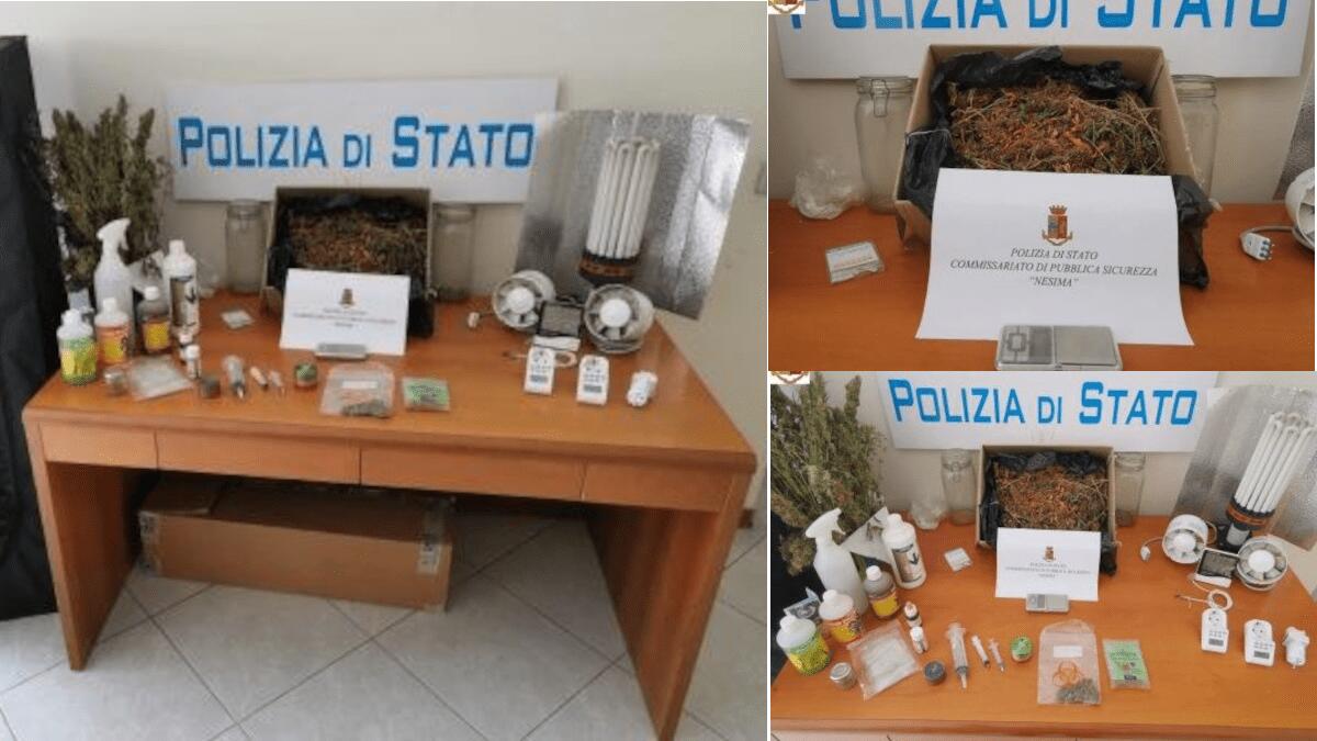 Spacciatore coltivava marijuana nell’abitazione in via Salvatore Grasso: rinvenuti oltre 500 grammi - 