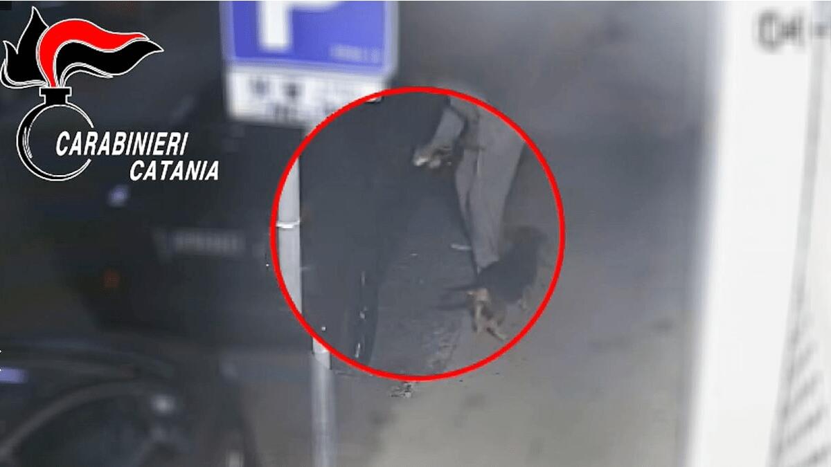 Trova la macchina rigata per due volte, pensava fosse un atto intimidatorio invece era un vicino invidioso con un presunto “disturbo ossessivo compulsivo” - 