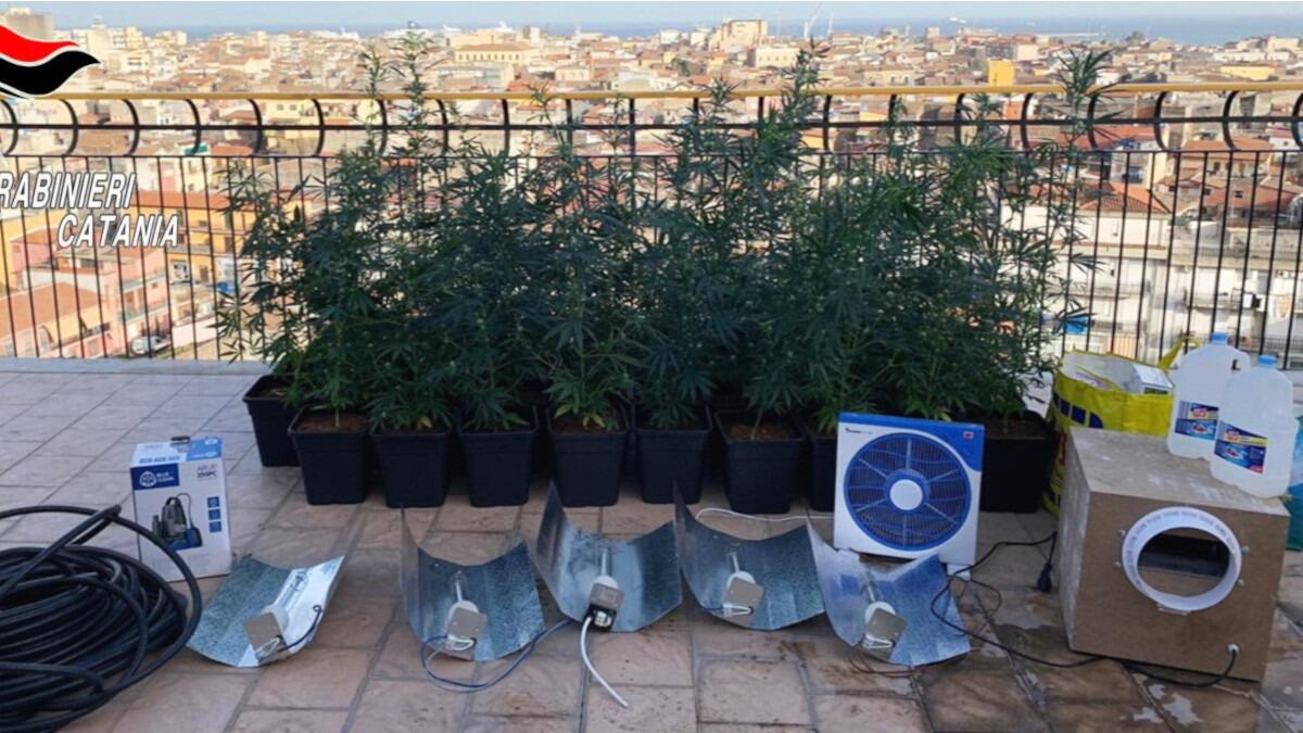 Non riesce ad entrare in casa e chiama i Vigili del Fuoco, all’interno vi era una piantagione di cannabis - 