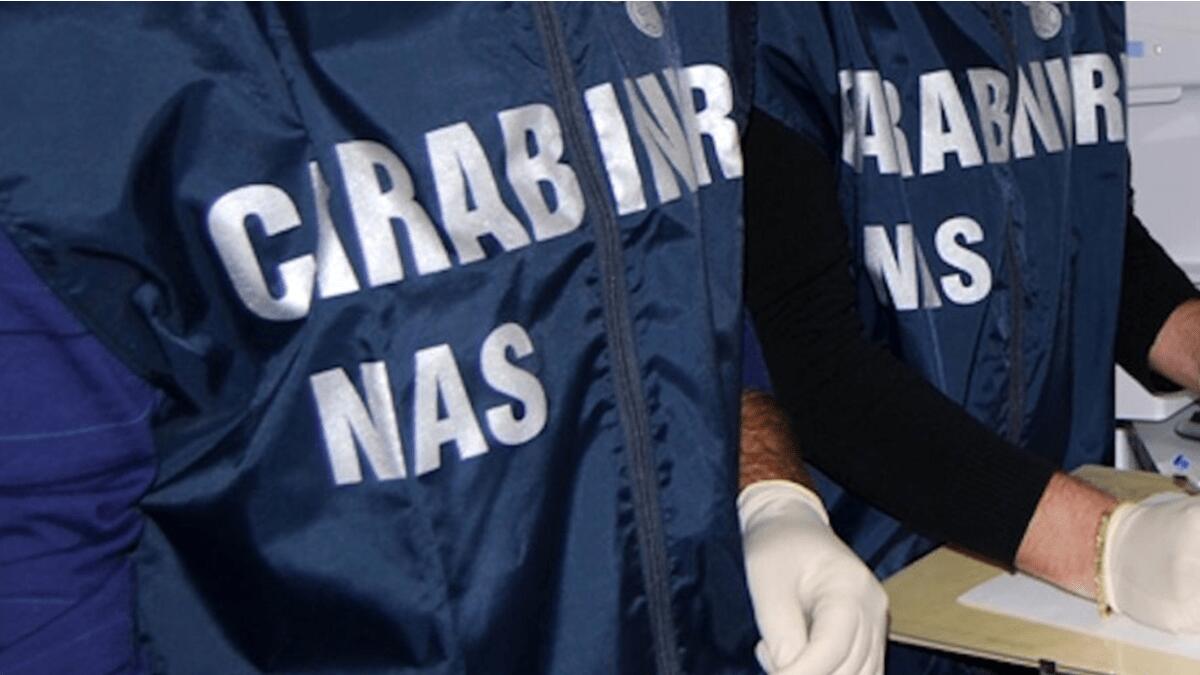 Controlli Carabinieri: diverse infrazioni al CdS, allacci abusivi e ristorante con carenze igienico-sanitarie - 