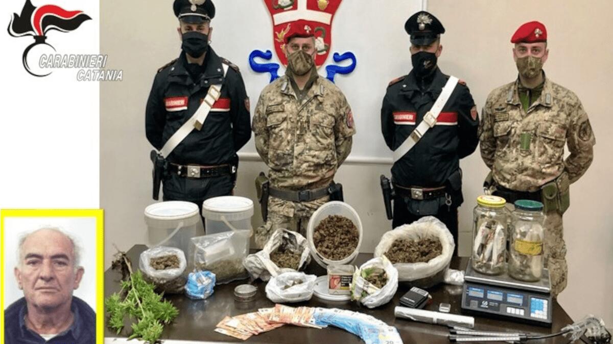 Paternò: in possesso di 2 kg di marijuana e due piante di circa un metro, insospettabile si giustifica col possesso per un uso personale - 
