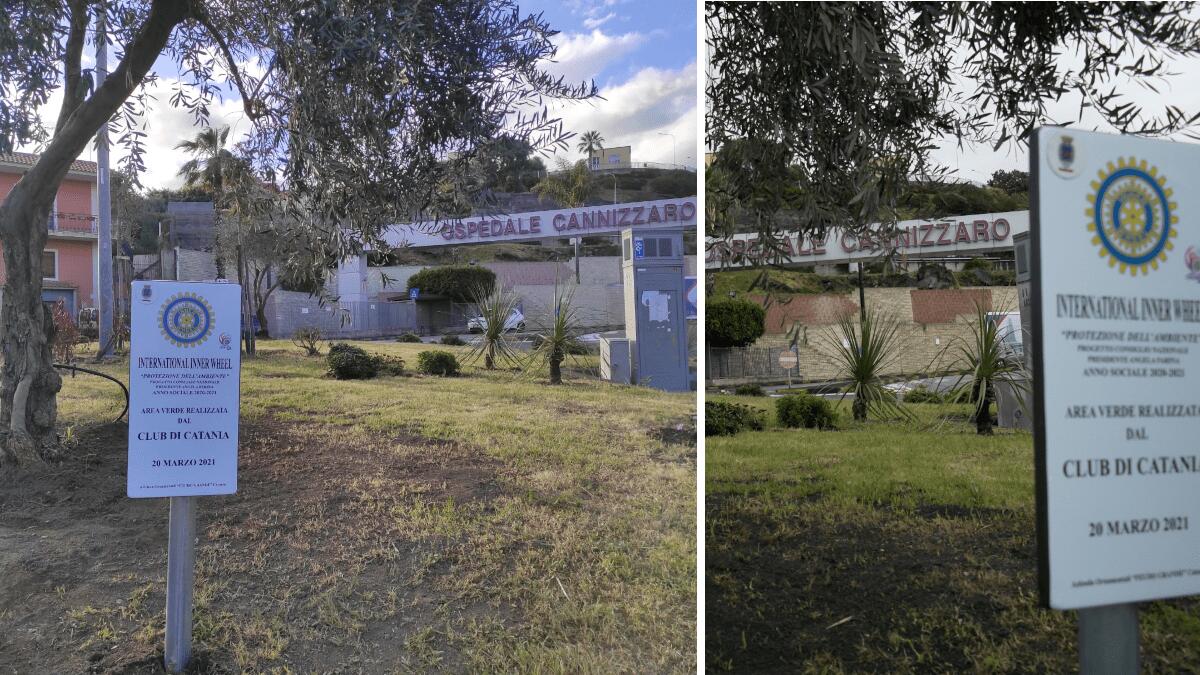 Nuovo verde per la rotatoria dell’ospedale Cannizzaro con l’aiuto d’Inner Wheel - 