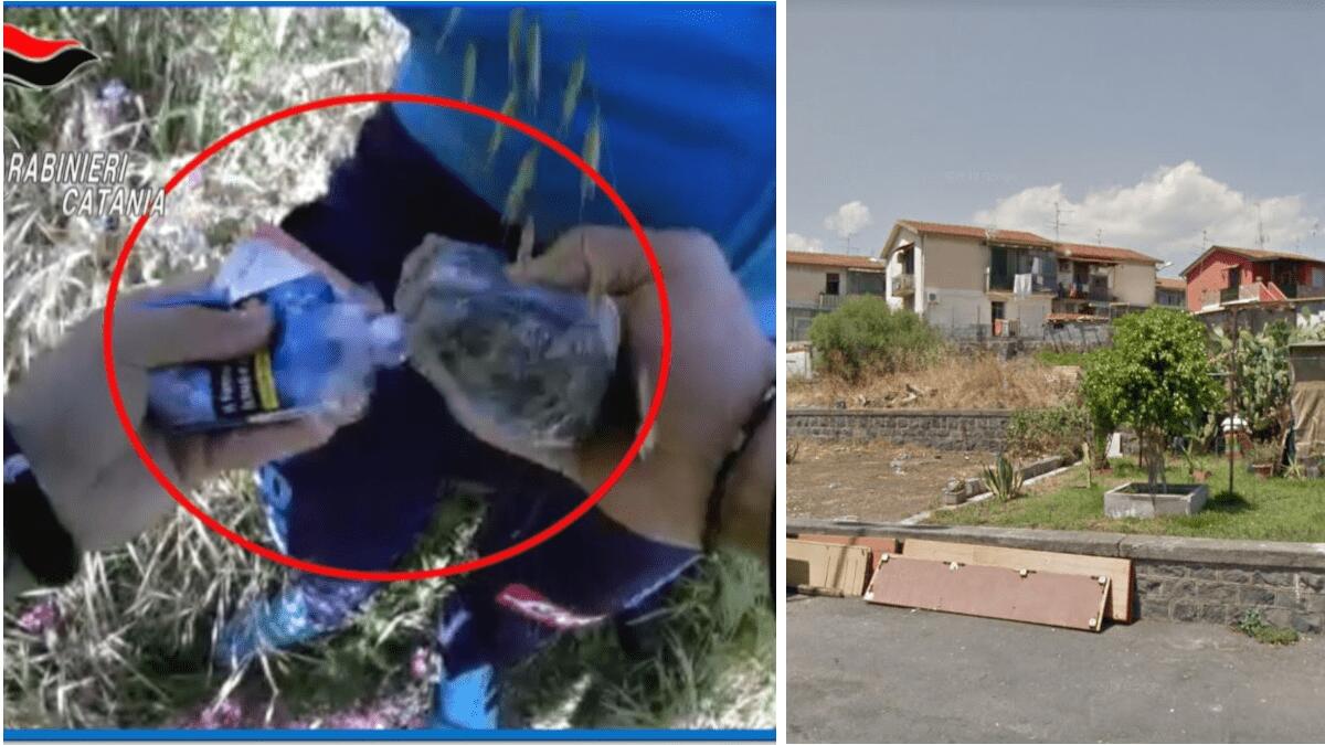 San Giovanni Galermo: spacciatore tenta la fuga tra le campagne con la droga nelle mutande - 