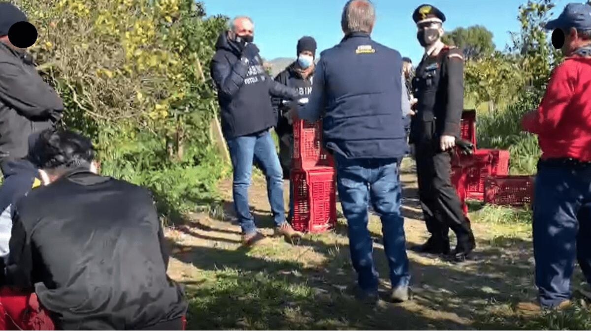 Grammichele: nota azienda sfruttava braccianti stranieri per effettuare la raccolta d’arance - 