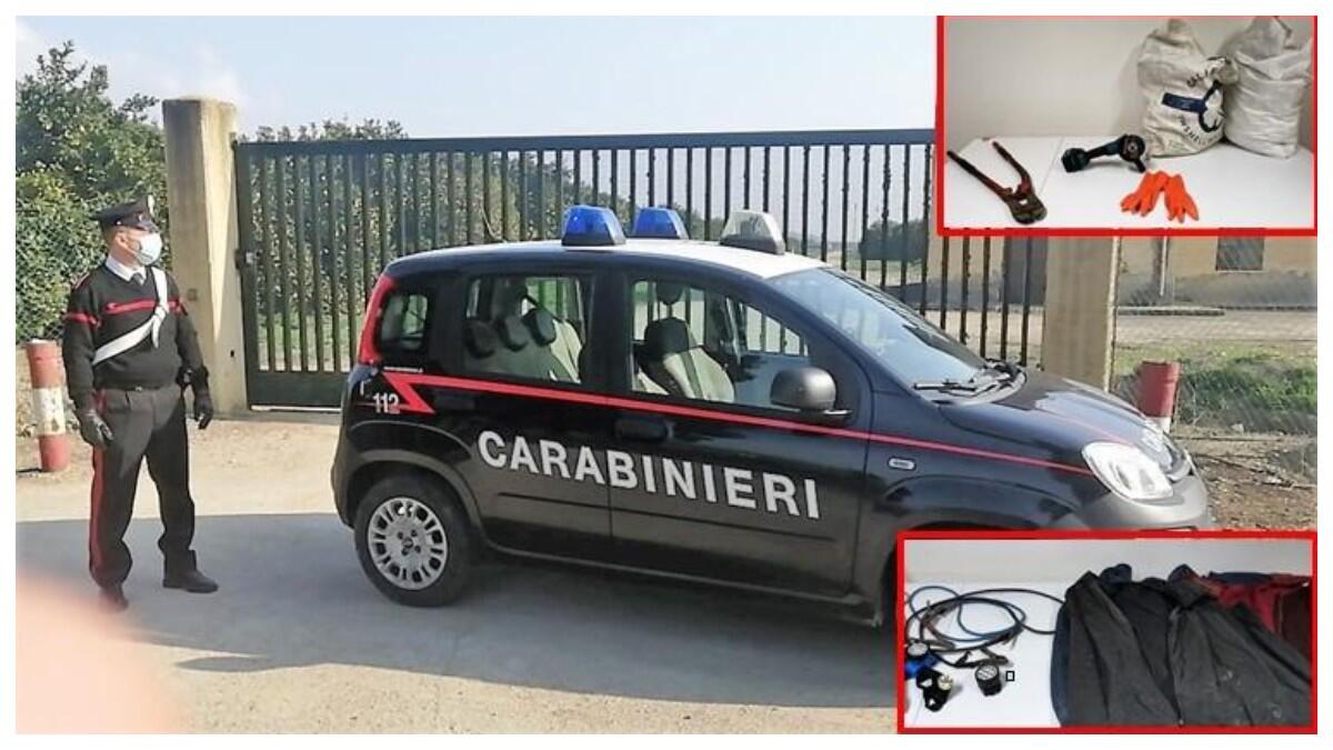 Mineo, nuovi arresti per reati predatori nelle aree rurali della  provincia etnea - 