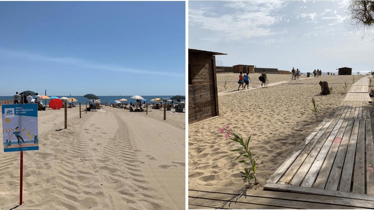 Pubblicato il bando per la gestione delle spiagge libere e dei solarium, servizi accessori annessi. Importo di circa 2,5 milioni di euro - 