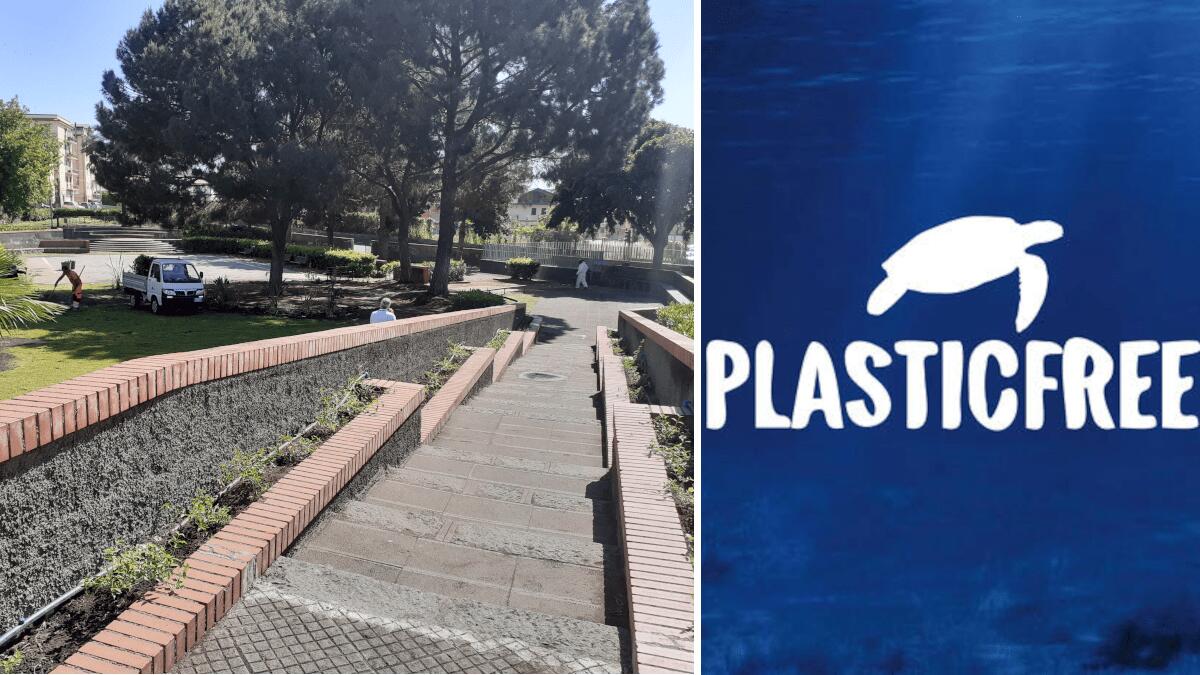 Riqualifichiamo il parco di Fasano: ritorna per il terzo mese consecutivo l’iniziativa Plastic Free aperta ai cittadini - 