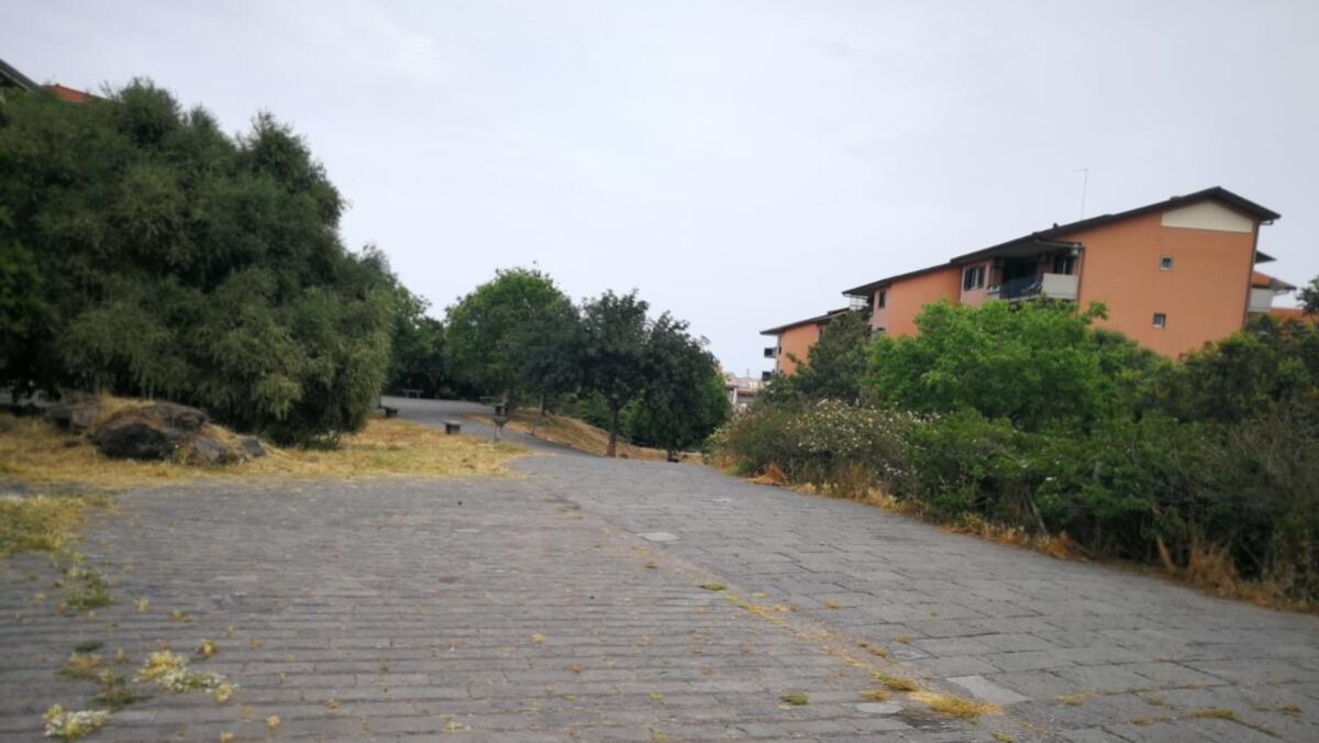 Parco degli Ulivi, Buceti: "Il mio programma di riqualificazione non si è mai fermato" - 